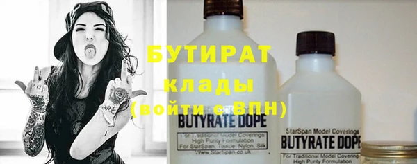 шишки Магас