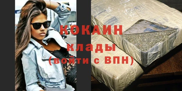 шишки Магас