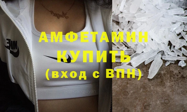 шишки Магас
