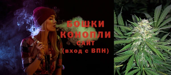 шишки Магас