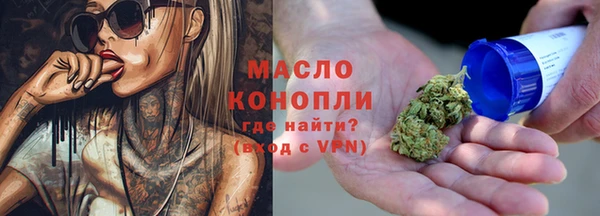 шишки Магас
